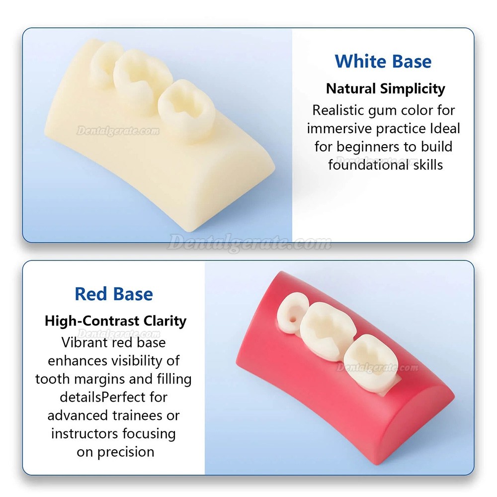 Dental Inlay &Uuml;bungsblock Komposit-Harz F&uuml;llung Z&auml;hne